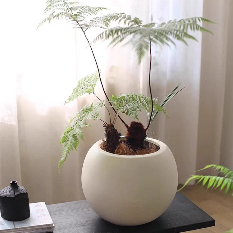 复古镁泥花盆水泥花器客厅大型落地仿古秋韵摆件装饰品圆形花盆