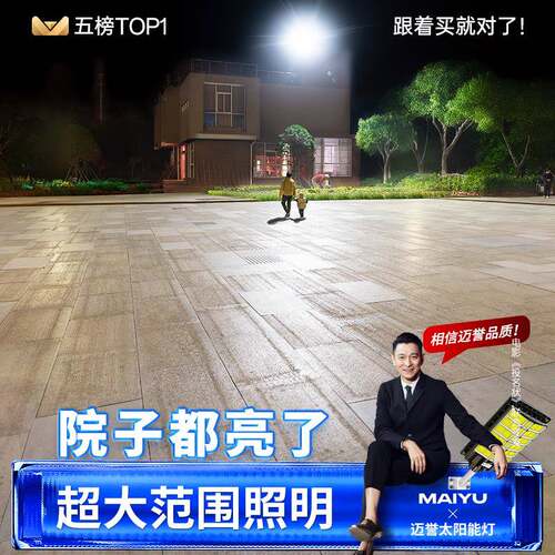 路灯太阳能户灯家用庭院灯新照5明灯新防水感YZ956768外应型农村