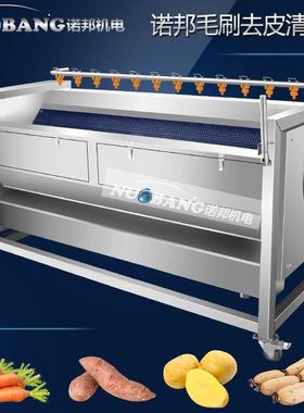 地黄毛辊去皮洗FZP机清商用天南式星去皮清洗机黄精毛辊清洗机