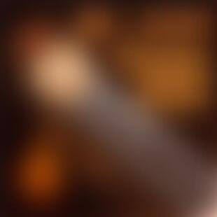 Sex Toy Remote contral G-Spot Vibrator Silicone Dildo Penis