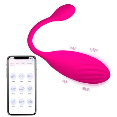 Bluetooths Dildo Vibrator for Women Remote Vibrating Panties