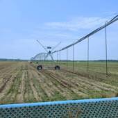 平移式 喷灌机地溉农作物智大型农用浇全VRX自动抑尘环保中心支灌