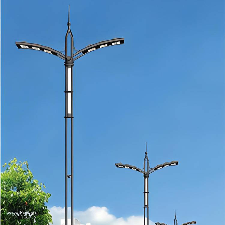 厂家直供LED灯等高臂双挑市电路灯杆6~15米热镀锌路灯市政工程款