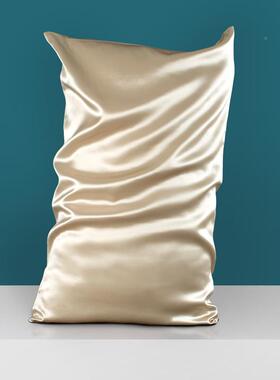 22米亮面料双面真姆ZSZT-03丝枕套10个0桑蚕单睡眠枕头套7丝4x48c