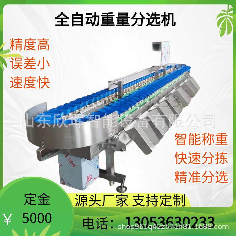 果蔬重量分选机量拣材料盒式重分选设备厘子无品牌/大小分车机
