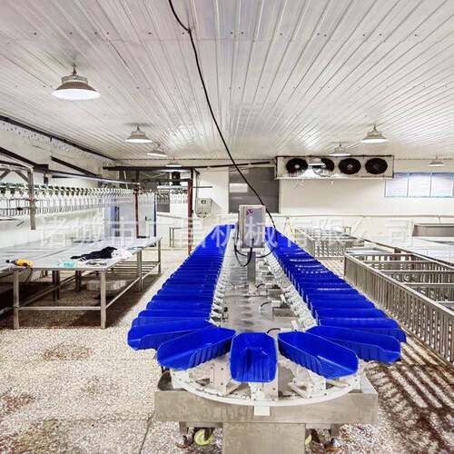 百果OLK凤梨分拣果分选机香柑水橘全自动称重机料盒式重量分级机