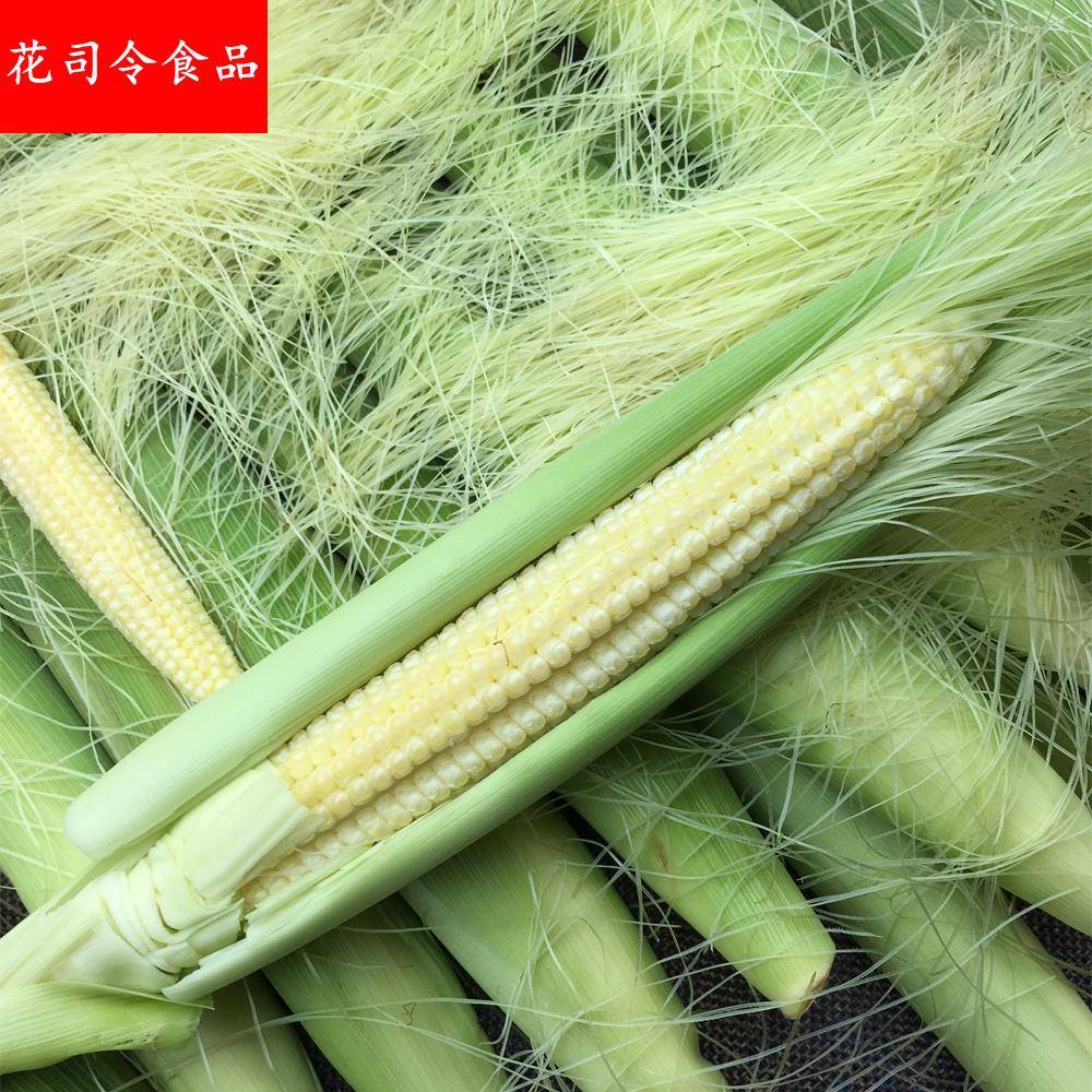 玉米笋新鲜蔬菜带箱10斤水果甜玉米带皮带须小玉米芯玉米棒玉米