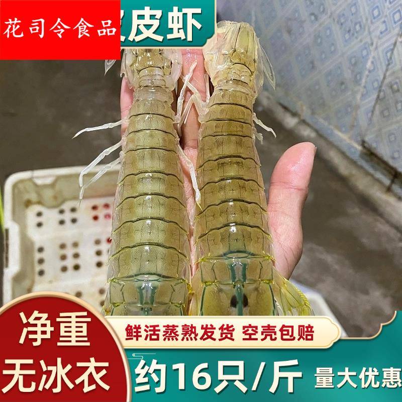 北海皮皮虾鲜活包邮海鲜水产海虾琵琶虾虾爬子新鲜濑尿虾蒸熟发货