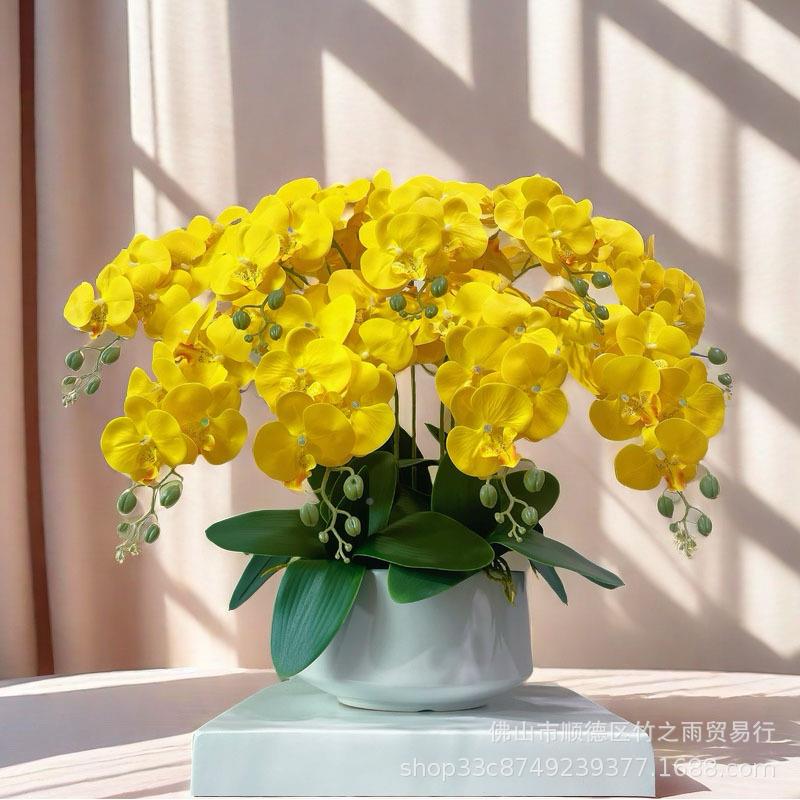 蝴蝶兰真花EII质堂高品酒店大花卉客厅电视仿两边入户门走廊玄关