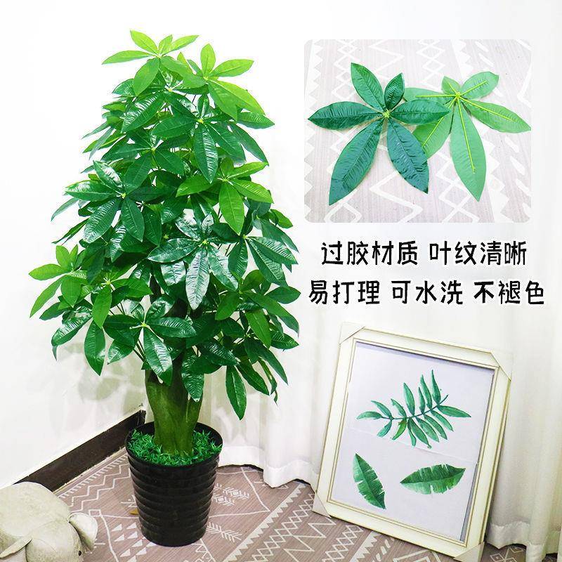 假发客仿财树树塑料真植物塑料盆栽室内无品牌/大型摆设厅