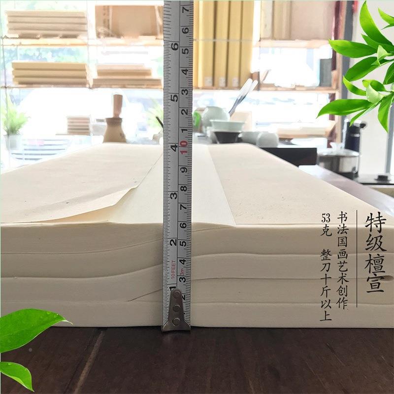 宣纸加厚四尺8斤10张书熟法创作加厚8斤生创作半练习国画宣纸0半
