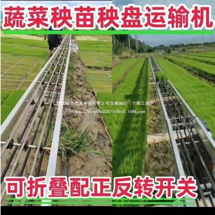 送秧ZWP盘输架子水稻流水线蔬菜田送带电动运搭送传秧苗运机插秧