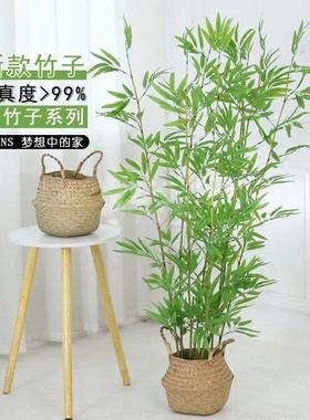 仿真植竹子绿落绿地盆栽竹室内装饰假DD102256款竹子仿真植网红新