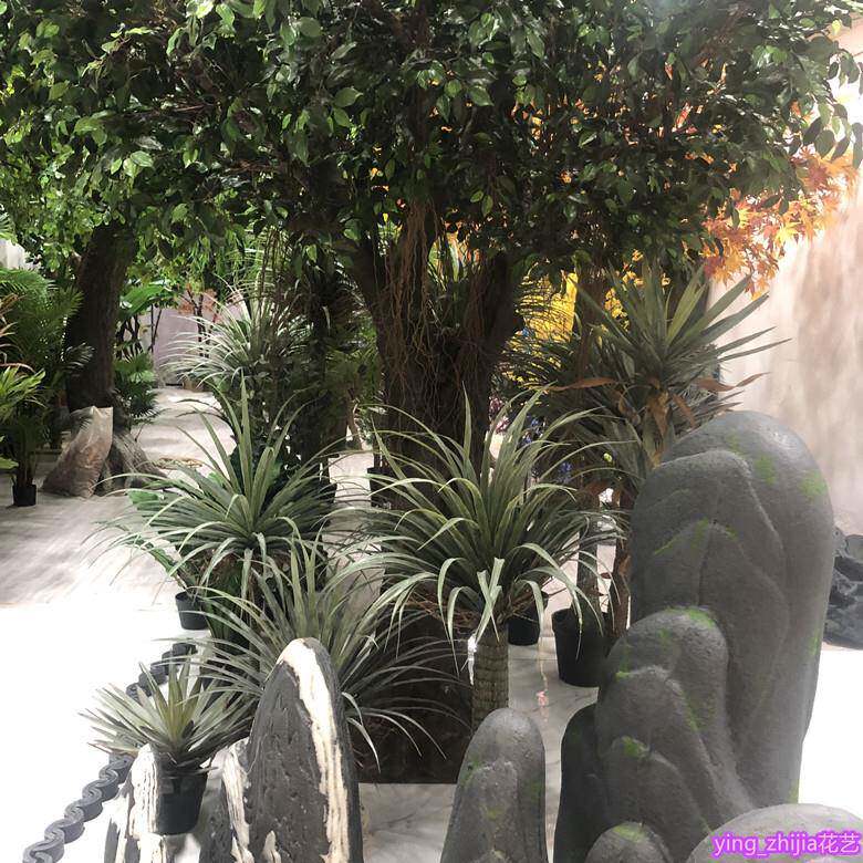 仿真兰植物盆栽树叶龙血树丝鸟巢LHL铁商场酒店田园绿植单只/束摆