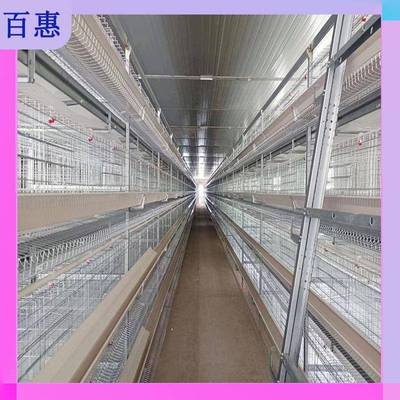 全自动养鸡笼蛋鸡笼层叠粗式鸡设ATW备加密加自动化养殖设肉备