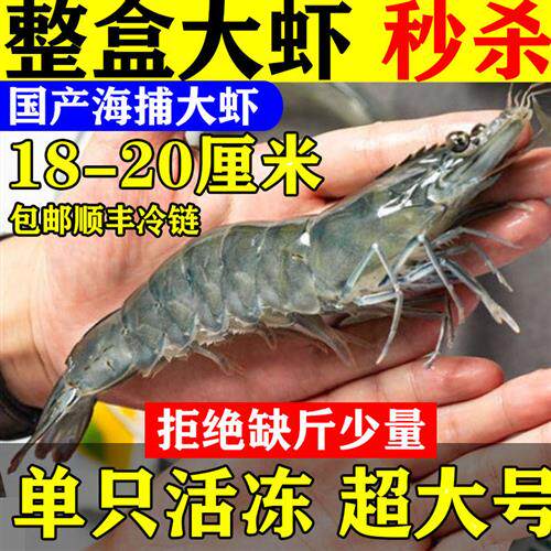 大对虾王鲜活速冻新鲜野生超大对虾大海虾青虾明虾海鲜水产包邮