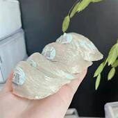 国际代码 大燕子大道