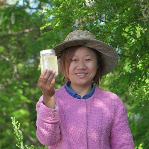 2025新蜜洋槐蜜槐花蜜纯正天然野生刺槐蜜洋槐巢蜜老付蜂蜜