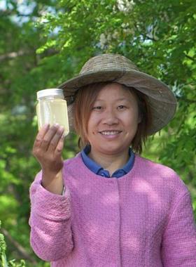 2025新蜜洋槐蜜槐花蜜纯正天然野生刺槐蜜洋槐巢蜜老付蜂蜜