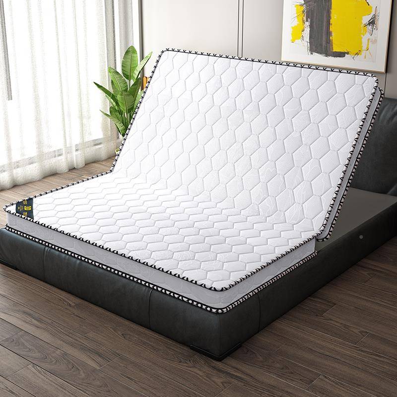 W7棕垫.天然椰棕床垫硬垫1.8米可折叠用儿童护脊1.22681m5棕家榈