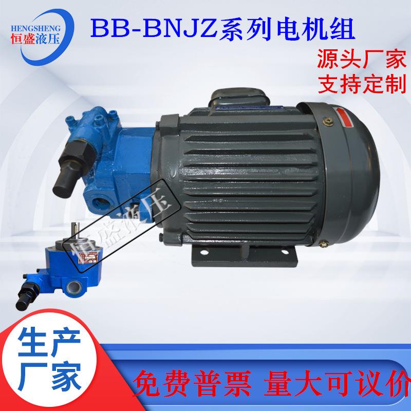 208BBB2NJZ-51B16NB32NB40式NB8-0B100NJZ-1立卧齿轮油泵电机组