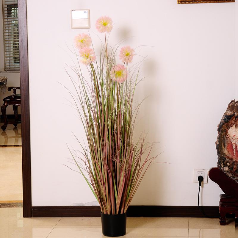 蒲苇落公英盆栽植物装仿饰假花摆件客厅大型芦草干花地摆设真花