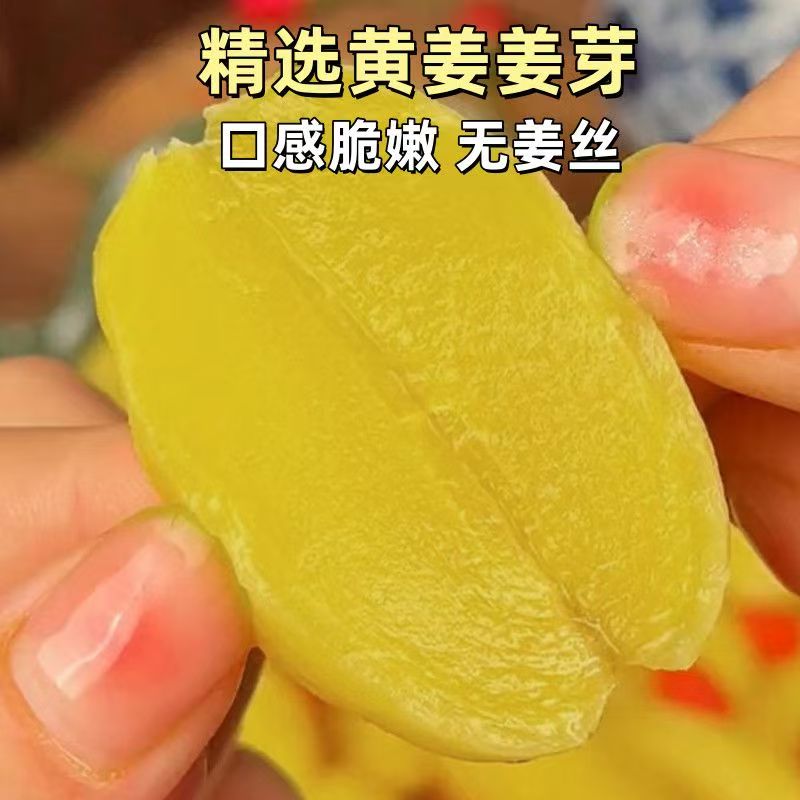 淄博红枣枸杞泡姜芽新鲜嫩姜芽酸甜腌制泡菜下饭菜糖醋生姜片特产