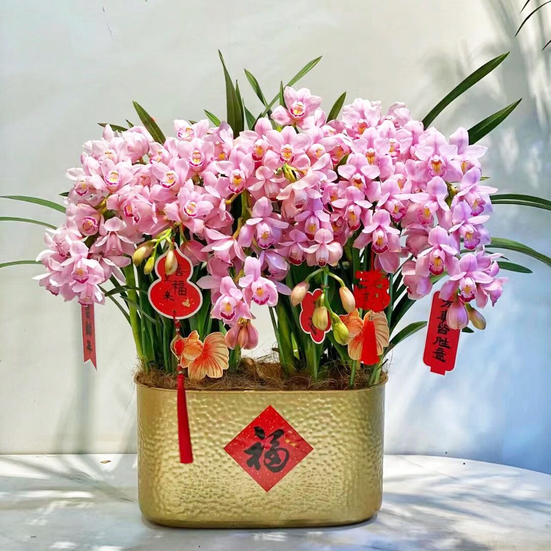 冬青银柳金属金色福盆抱抱桶花盆元宝聚宝盆铁艺福桶创意插花桶
