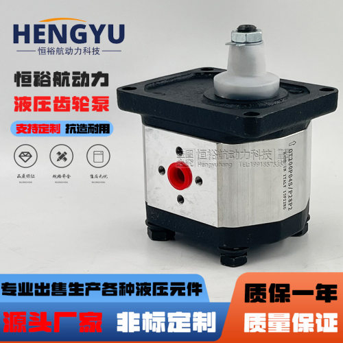 布雷维尼Brevini齿轮泵OT200P04S/P28P2 OT200P11D/G31S2液压油泵