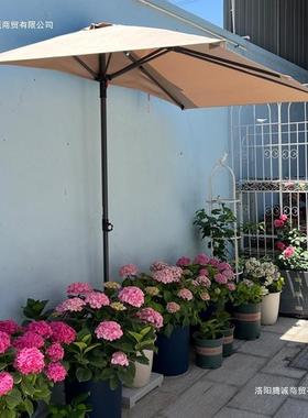 长庭方形半边遮伞靠墙放晴雨太阳伞户外院园阳阳台花85135遮雨棚