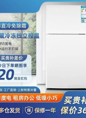 一能效冰箱家用小型宿租房迷小你省电办公室舍双门电级99307冰箱