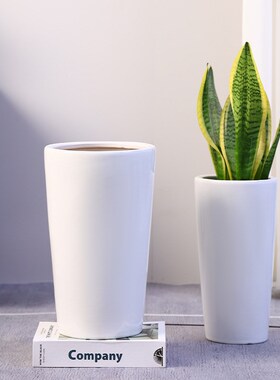 圆柱白色陶瓷花盆家用冬青花瓶落地兰花高款龟背竹虎皮兰茉莉新款