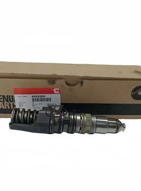 适用柴油发动机重庆康明斯K19 K50喷油器 3076700