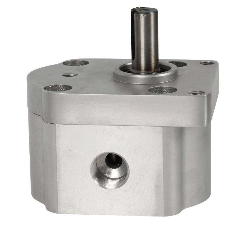 生产CBS-D300双向齿轮泵电液推杆中小型工程机械专用双向齿轮油泵