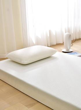 45高D密45dmht度加硬海垫记忆用棉榻榻米床垫软垫绵家学生宿舍垫