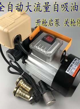全自动柴油泵电动抽油泵12V24V220V大功率550W柴油泵大流量自吸泵