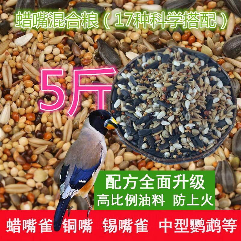 蜡嘴鸟食颗粒400g辣子鸟粮黑尾黑头交嘴黄似蜡嘴雀锡嘴鹏飞鸟业图片