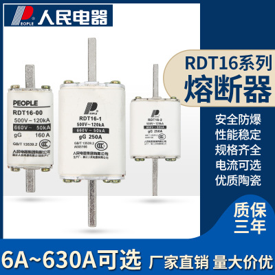 人民电器集团RDT16-00 NT00 RT36 160A 200A250A熔断器保险丝熔芯