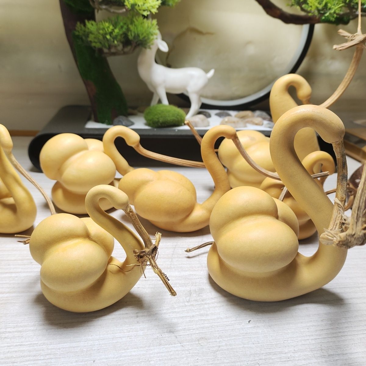 天鹅葫芦摆件文玩手把件异形观赏勒扎工艺葫芦客厅摆件葫芦