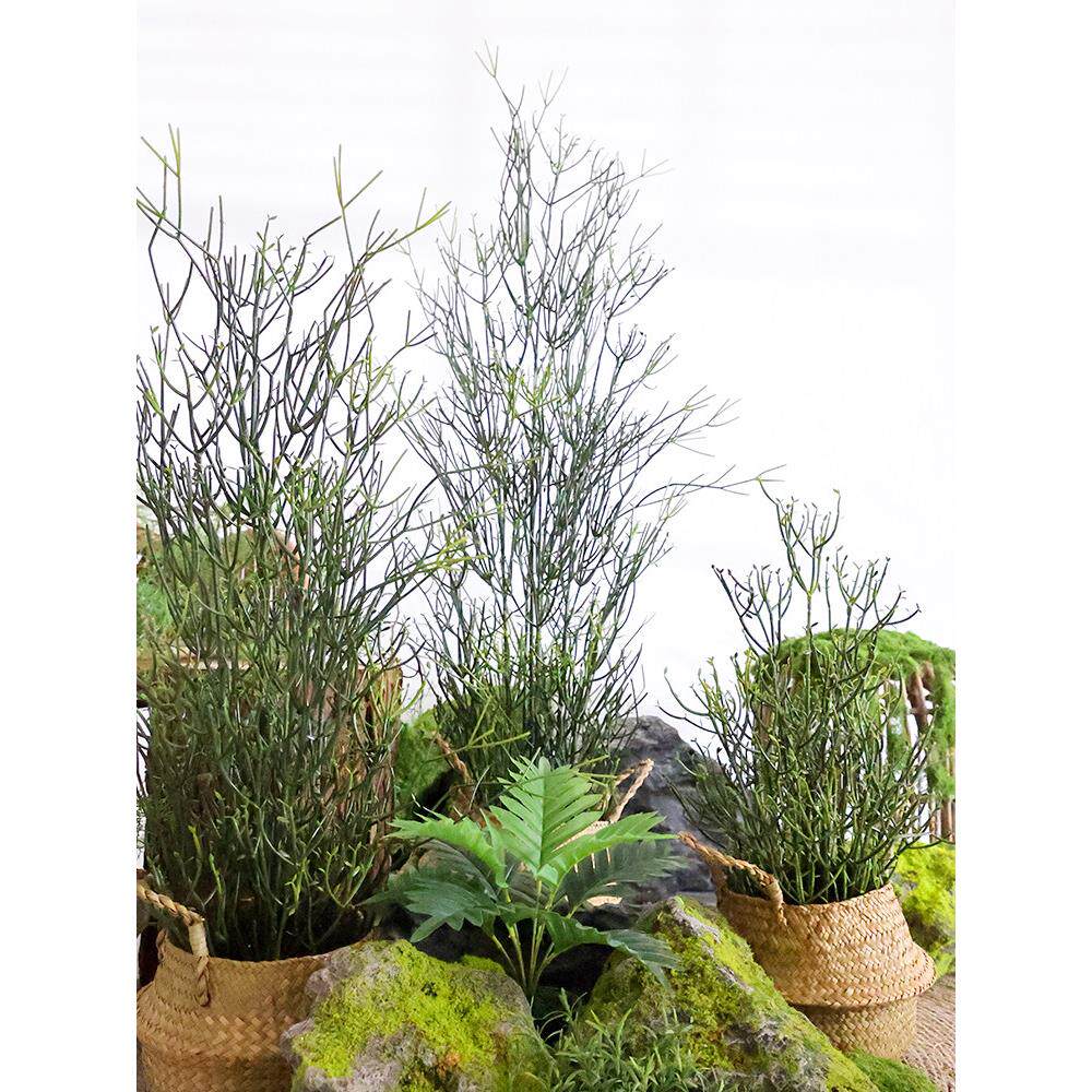 仿真光棍树盆栽假绿植珊瑚树沙生植物角酒店民宿庭院店铺橱窗造景