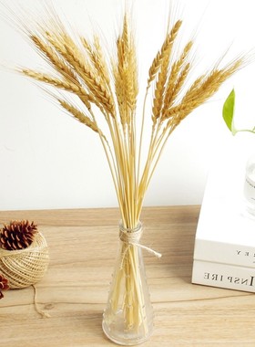 客厅装饰卧室创意摆设装饰房间的小饰品个性摆件家居饰.品女生温