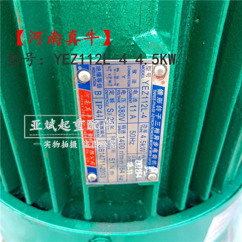 YEZ132M-4/7.5架桥机提梁搅拌摆线针真牛O锥形转子电机 独键花键