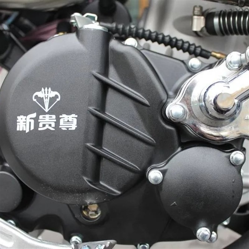 林道拉力车极盗者-5S(CBS300水冷)四冲程发动机水冷越野摩托车