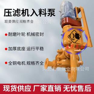 泵板框滤机入料泵高压泥浆压泵柱塞泵式渣浆洗沙洗煤JGD厂6卧5入