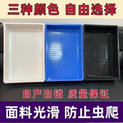 塑料盒环保无味养盒殖盒养虫700黄盒面包虫粉虫养子殖子零件盒批
