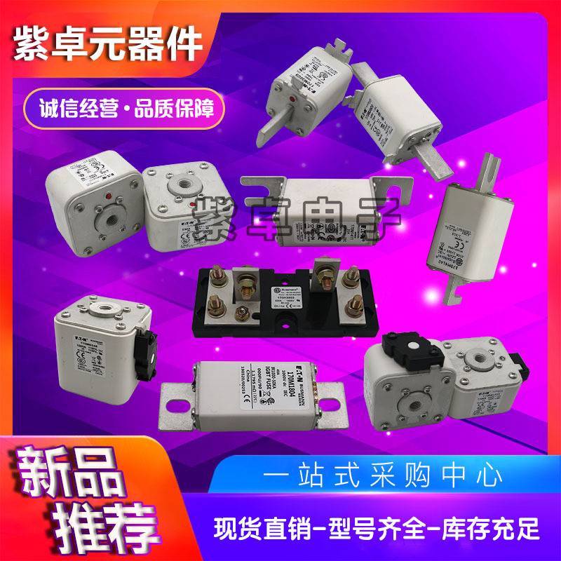 170M3812  170M3981 170M3982 170M3983 170M3984 170M3985保险丝