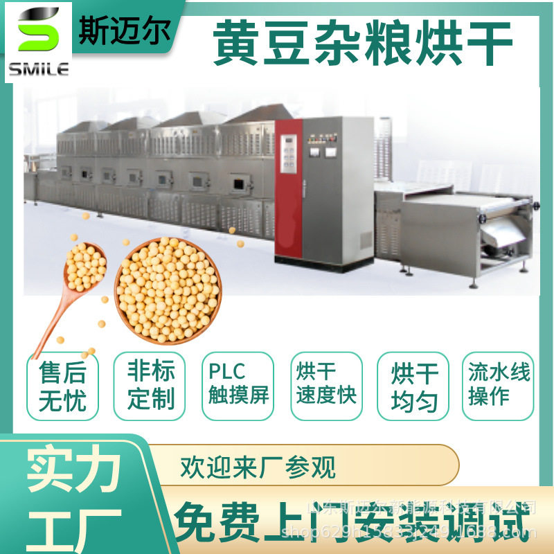 隧道式黄豆 黑豆微波烘焙设备到谷物杂粮低温烘焙熟化机 杀虫卵