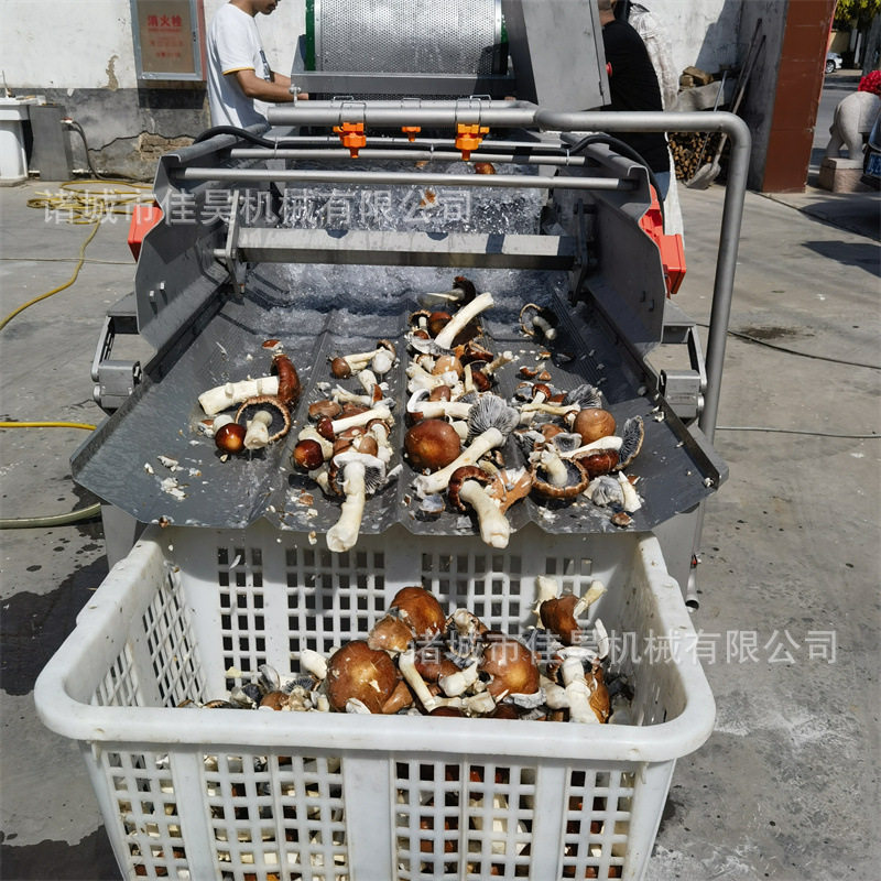 中央厨房涡流清洗机果蔬肉类清洗机净菜半成品菜洗菜机全自动
