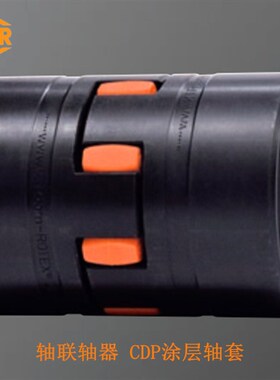 德国KTR-ROTEX-SBAN型带刹车盘梅花联轴器Coupling combined with