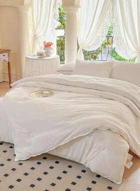 母婴纯级A类原棉大豆PZX被全保暖棉子被芯冬被春秋被夏被纤被棉维